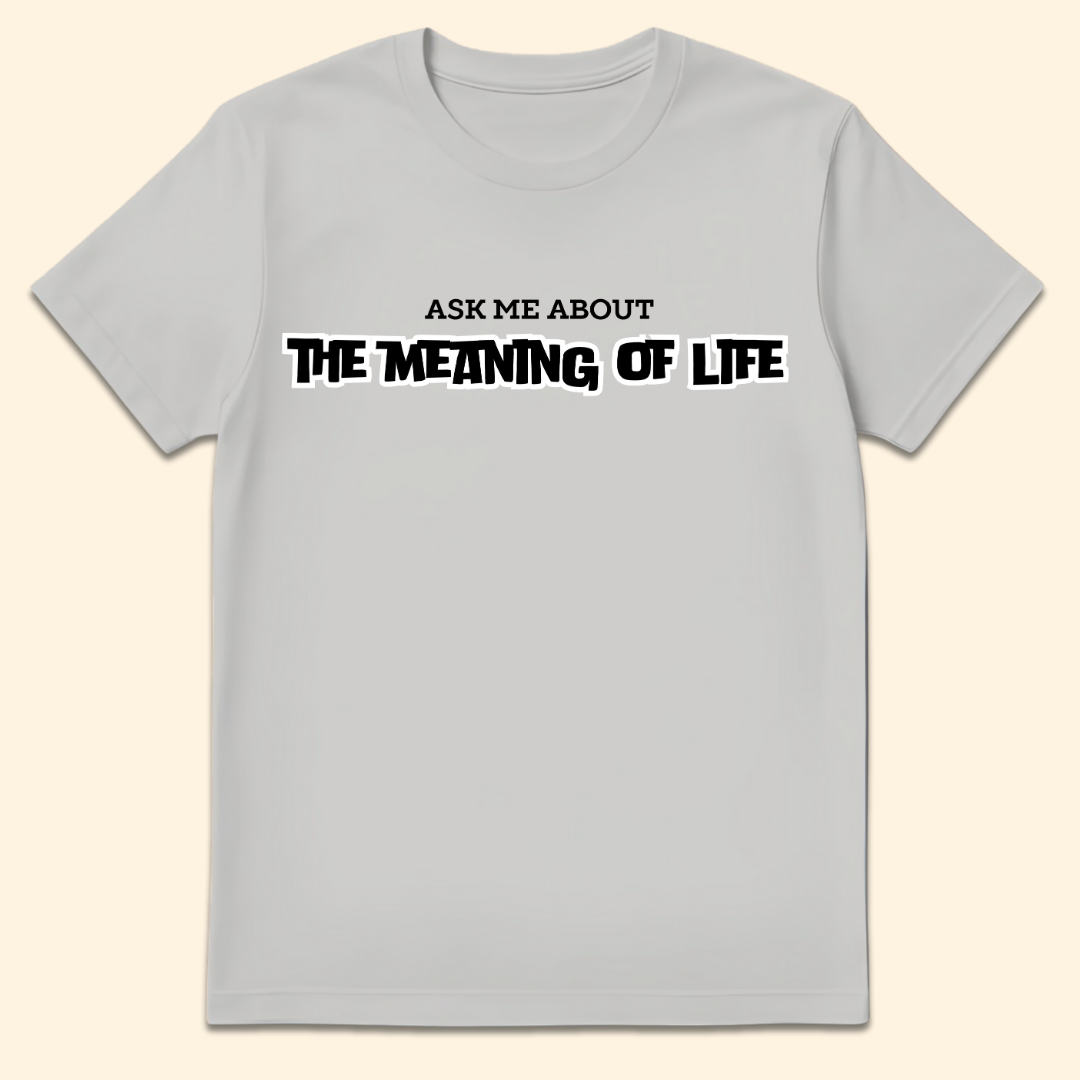 Meaning Of Life T-Shirt Ice Grey